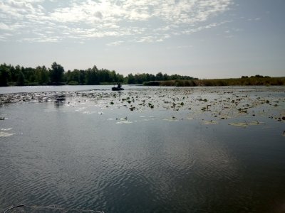 IMG_20200919_113638.jpg