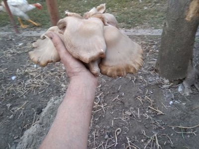 IMG_20200923_183051.jpg