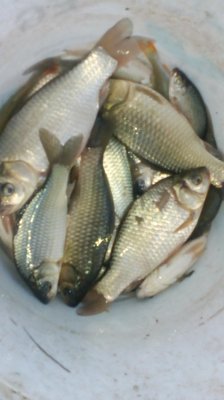 IMG_20200924_184712[1].jpg