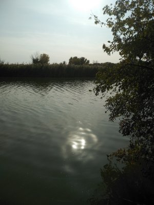 IMG_20200924_154416.jpg