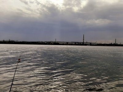 20200927_141006.jpg