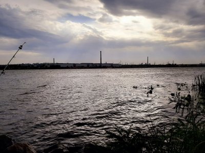 20200927_152544.jpg