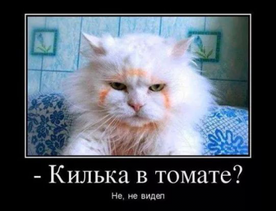 581cd3462069.png