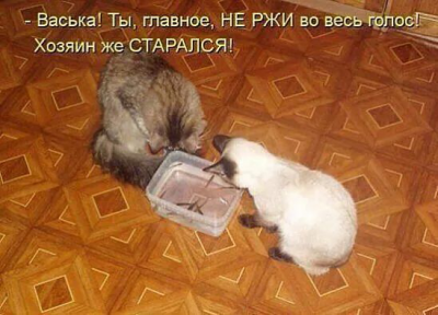849e9df4c031.png