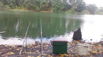 IMG_20201002_133028[1].jpg