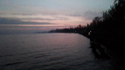 IMG_20201004_062414.jpg