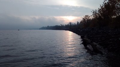 IMG_20201004_074850.jpg