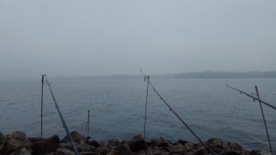 IMG_20201004_095805.jpg