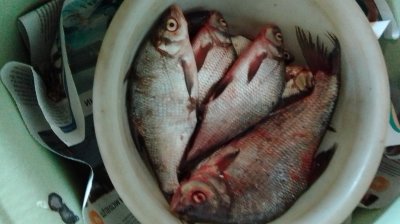 IMG_20201004_151151.jpg