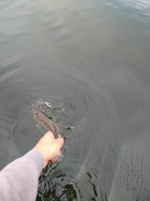 IMG_20201006_140602_1.jpg