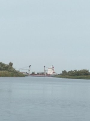 IMG_20201006_151019.jpg