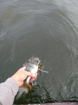 IMG_20201006_160628.jpg