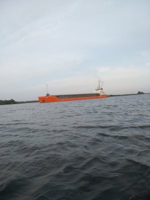IMG_20201006_170718.jpg