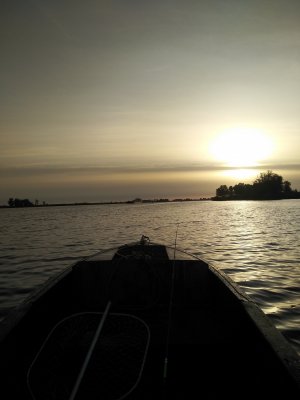 IMG_20201007_073336.jpg