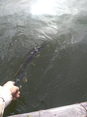 IMG_20201007_103558_1.jpg