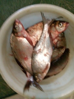 IMG_20201014_153910.jpg