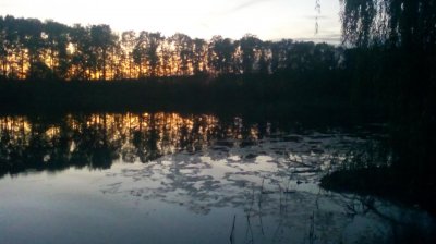 IMG_20201015_182416[1].jpg