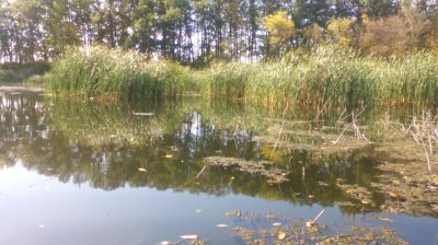 IMG_20201015_134708[1].jpg