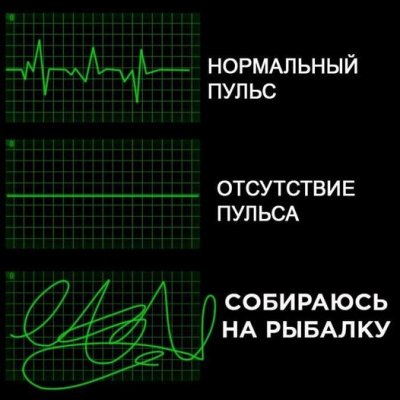 120645769_202817004562491_8902031413293951616_n.jpg
