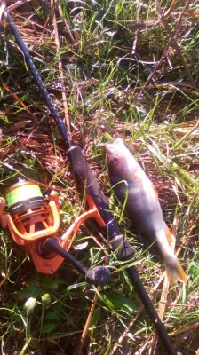 IMG_20201019_103846[1].jpg