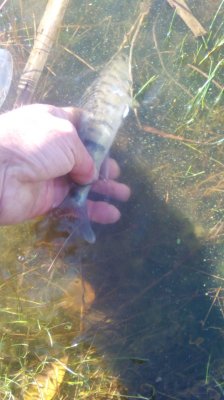 IMG_20201019_105017[1].jpg