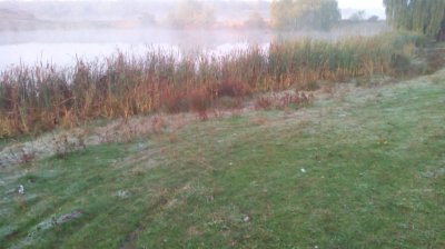 IMG_20201021_075734[1].jpg