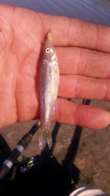 IMG_20201023_114115[1].jpg
