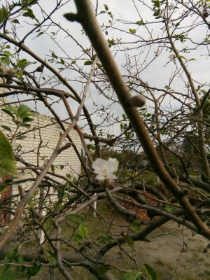 IMG_20201019_111916.jpg