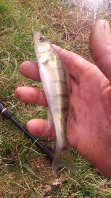 IMG_20201024_134503[1].jpg