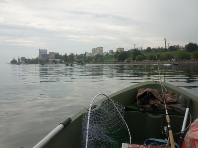 P1170701.JPG