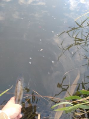 IMG_20201026_071403.jpg