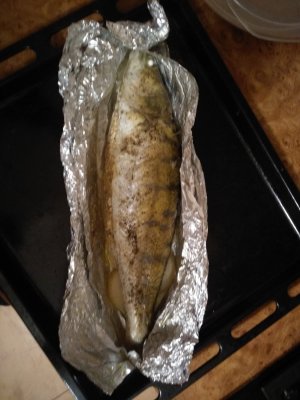 IMG_20201026_182318.jpg
