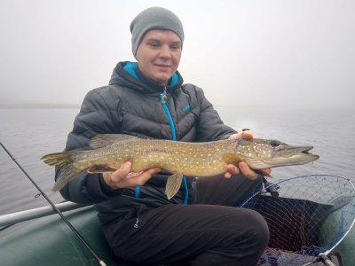 IMG_20201104_095947.jpg