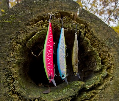 DUO Realis Jerkbait .JPG