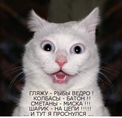 fb0cd63c74410de2ff4ea0456236238bcb10cbc0d727430aeabb4e7f5403cce9_1.jpg