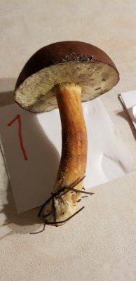 20201109_170309.jpg
