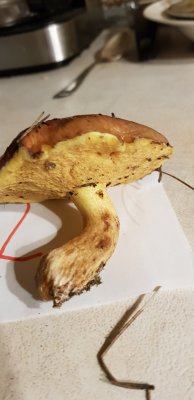 20201109_170422.jpg