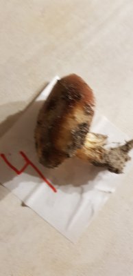 20201109_170605.jpg