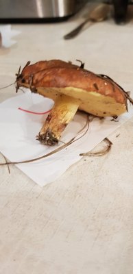 20201109_170721.jpg