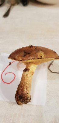 20201109_170752.jpg