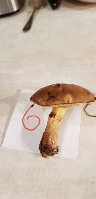 20201109_170756.jpg
