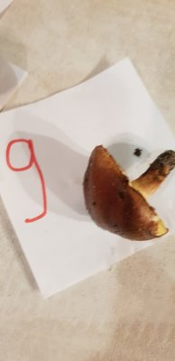 20201109_170913.jpg