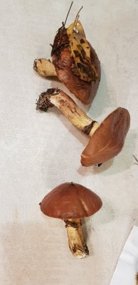 20201109_171029.jpg