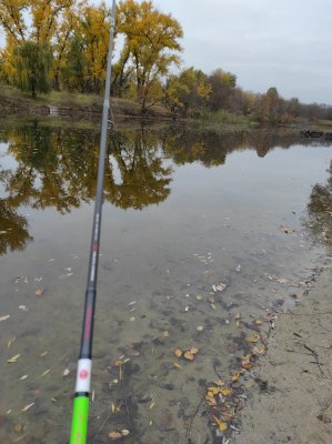 IMG_20201111_074738.jpg