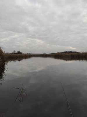 IMG_20201115_082506.jpg