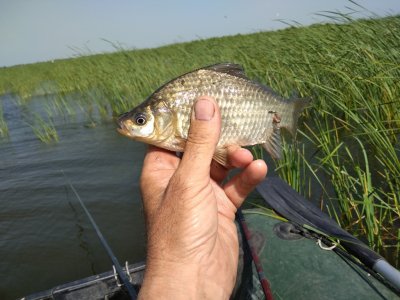 IMG_20200611_094012.jpg