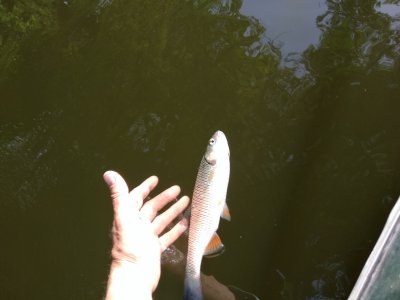 IMG_20200612_072553.jpg