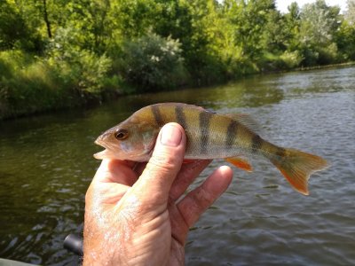 IMG_20200612_101322.jpg