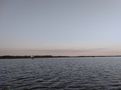 IMG_20200729_055548.jpg