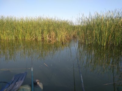 IMG_20200917_085509.jpg